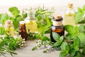 Oregano essential oil uses