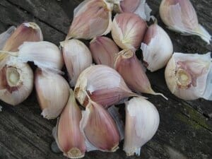 Health benefits of garlic