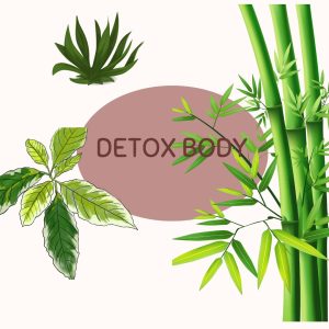 the best detoxification system of the body